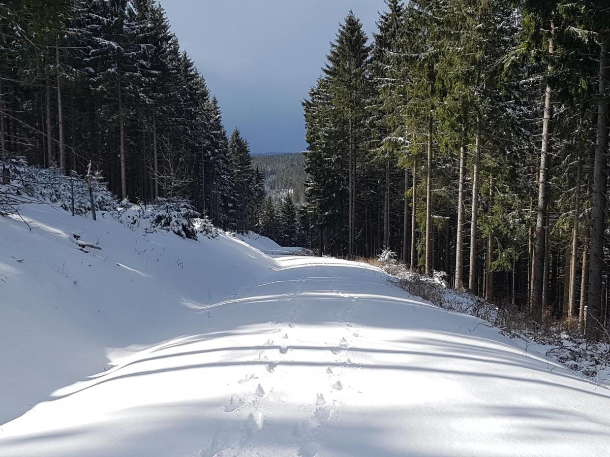 Apartment Paula Oberhof (Thuringia)